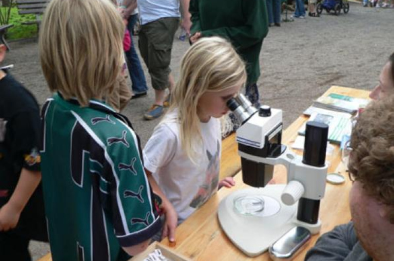 Kinder beobachten Insekten an dem Artenschutztag  im Duisburger Zoo