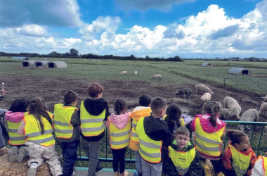 Kinder Anhänger