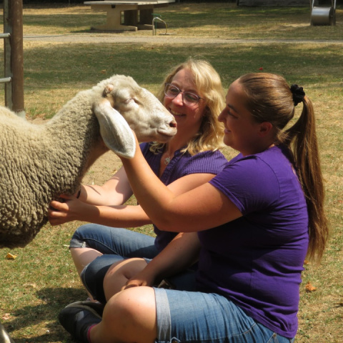 Schaf mit zwei Frauen